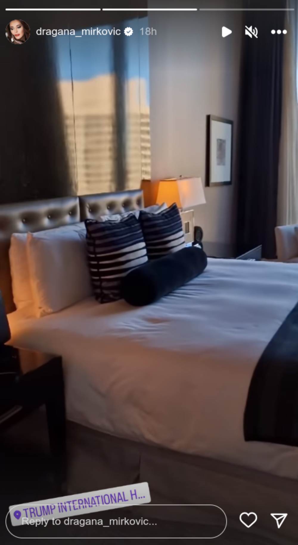 dragana mirković13.png