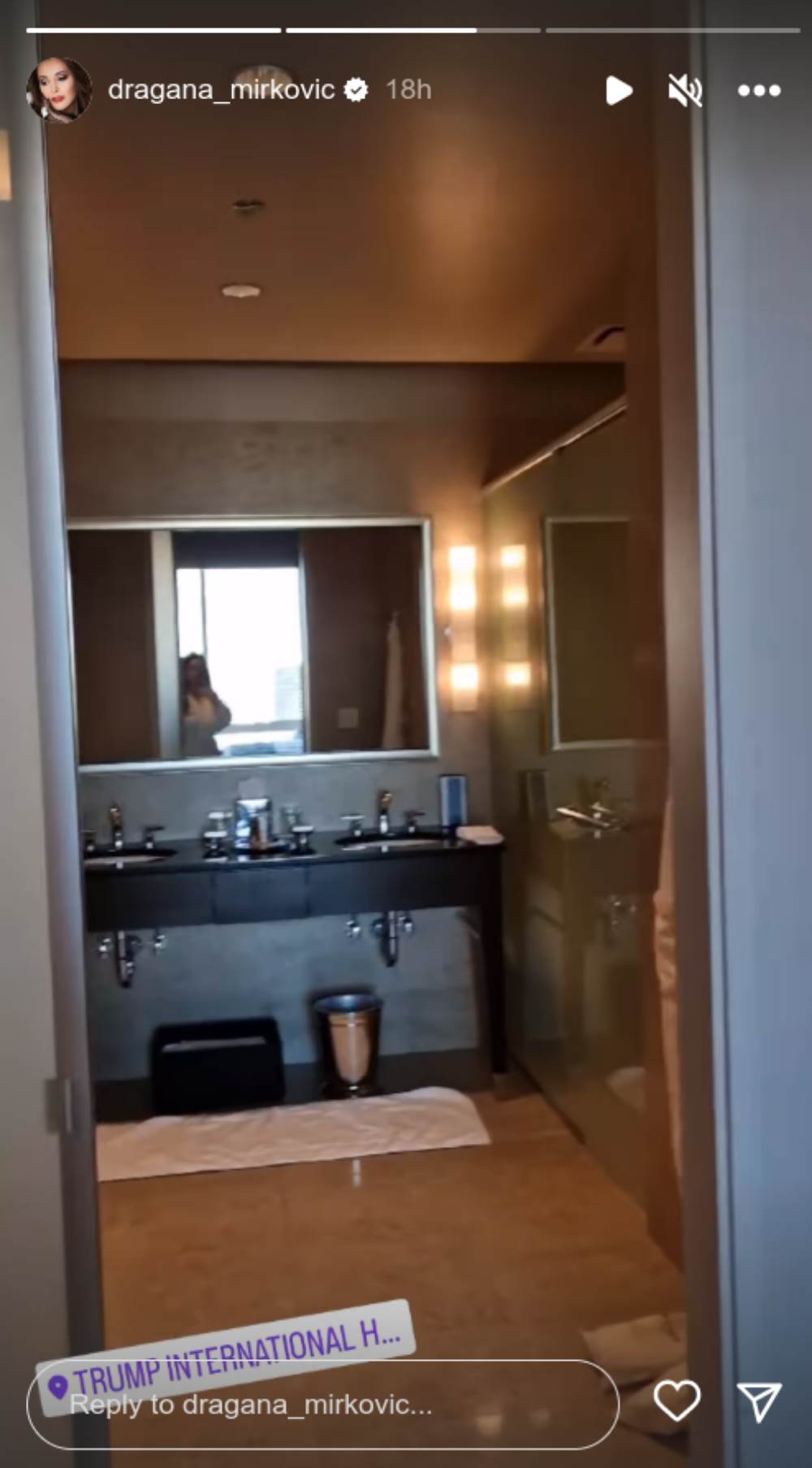 dragana mirković11.png