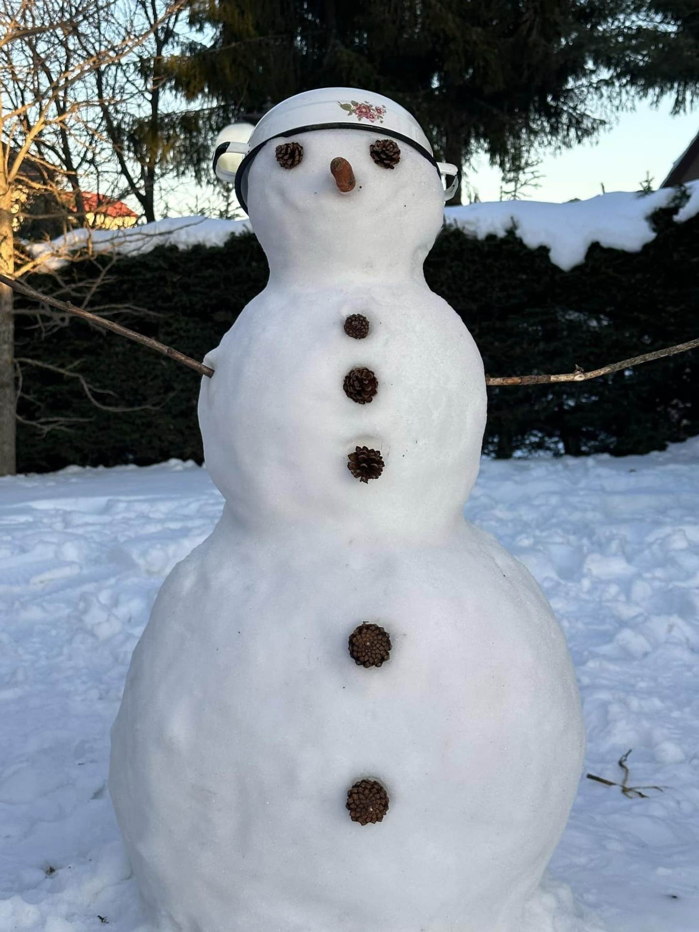 ceda jovanovic snesko belic.jpg