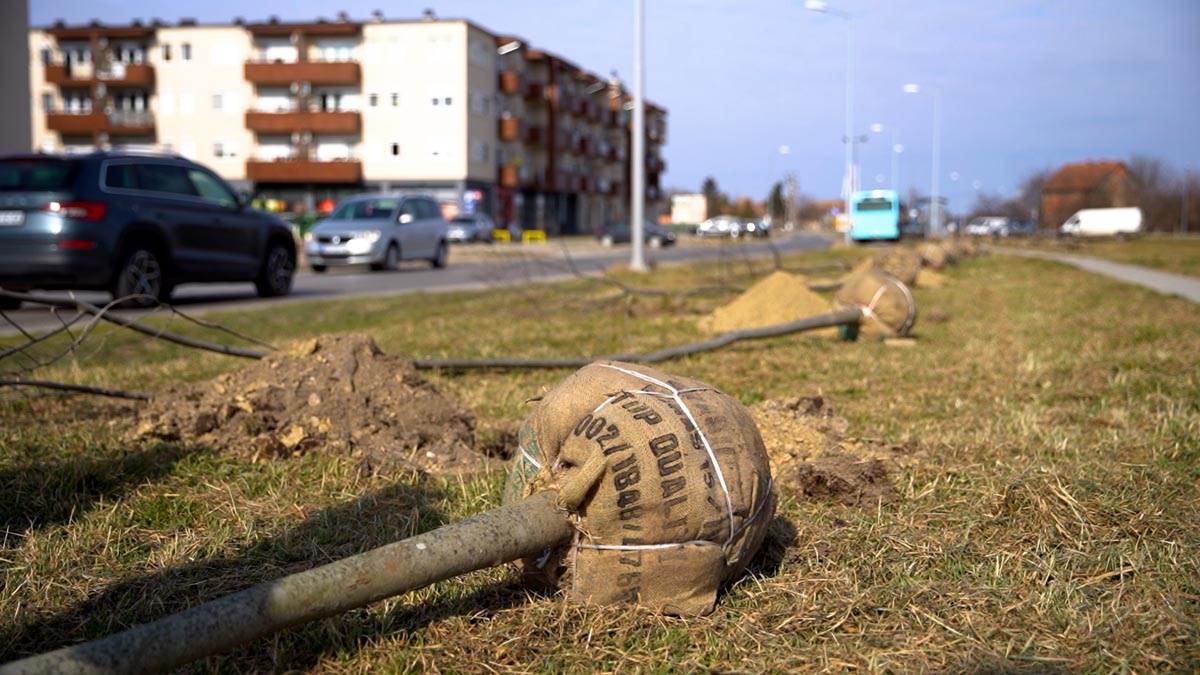 Subotica živi 3.jpg