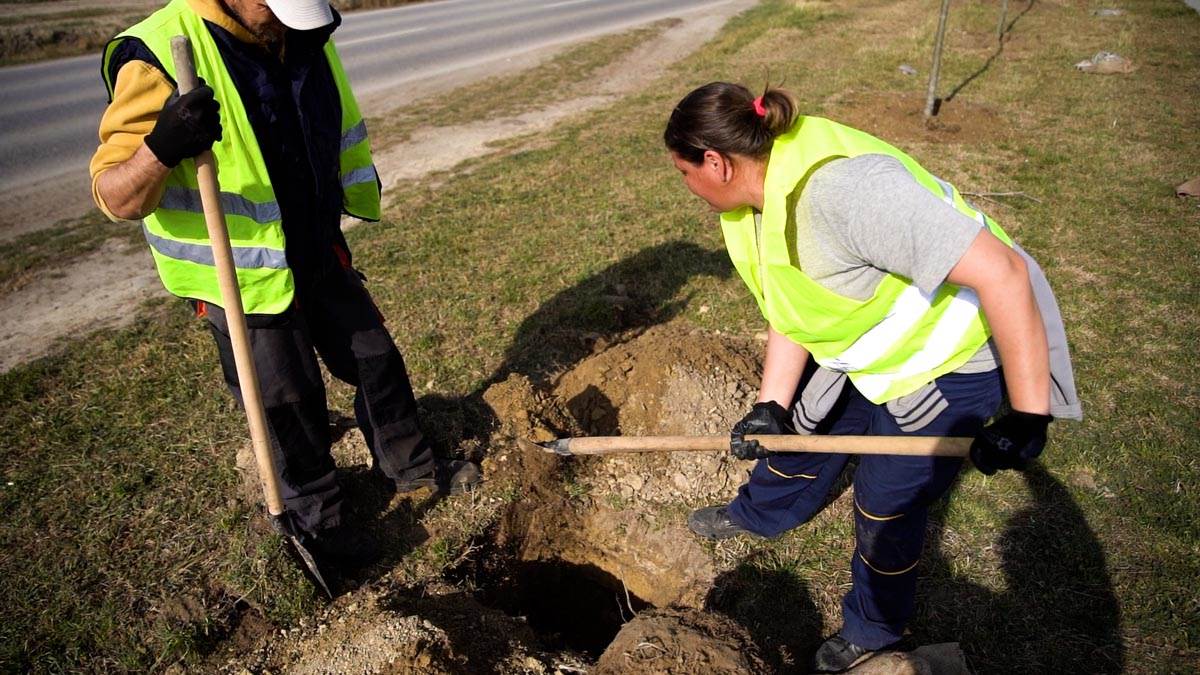 Subotica živi 5.jpg