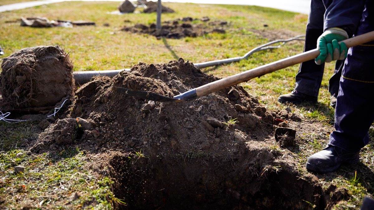 Subotica živi 7.jpg