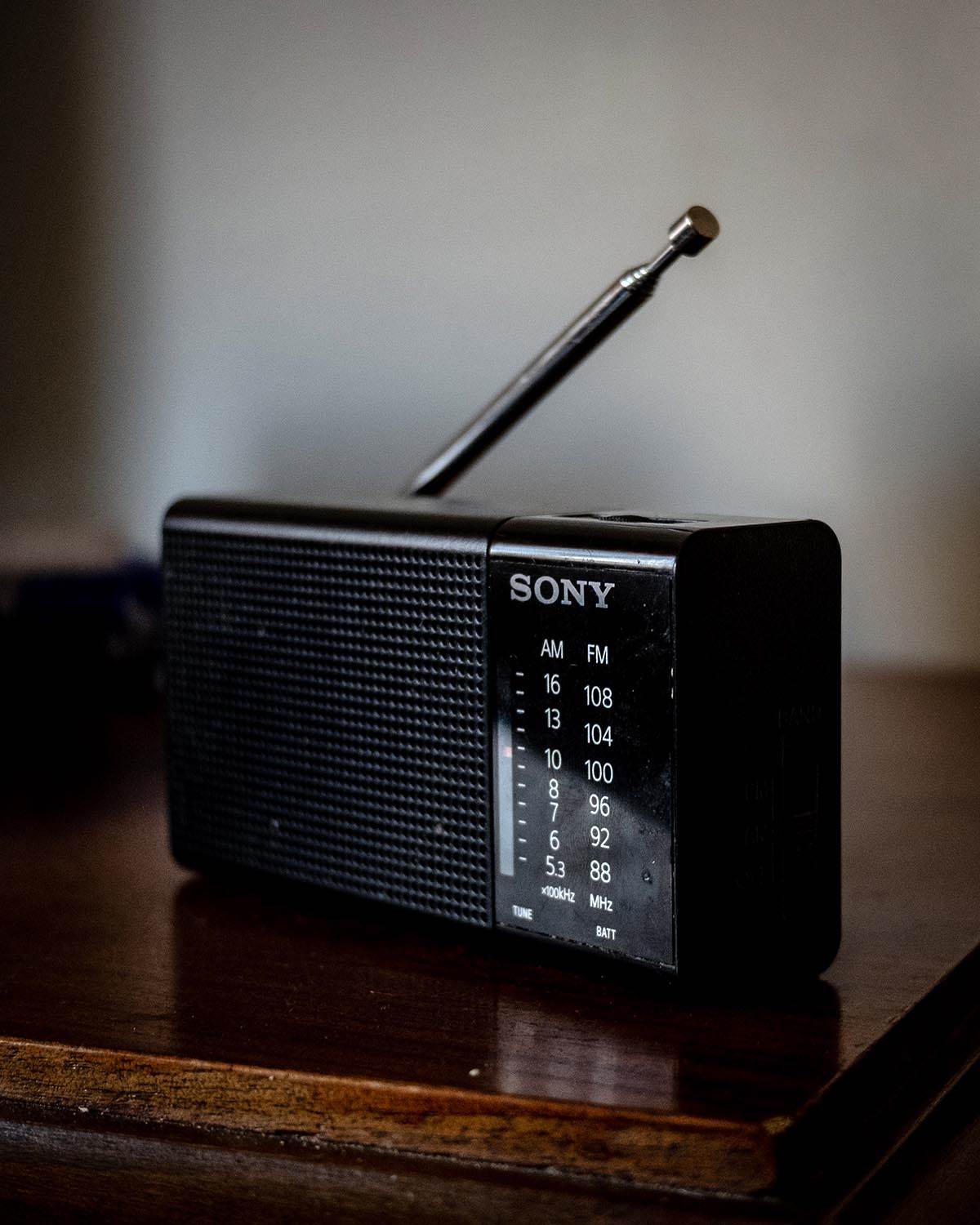 dragana_milisavljević_stefan_stojanović_ (13).jpg