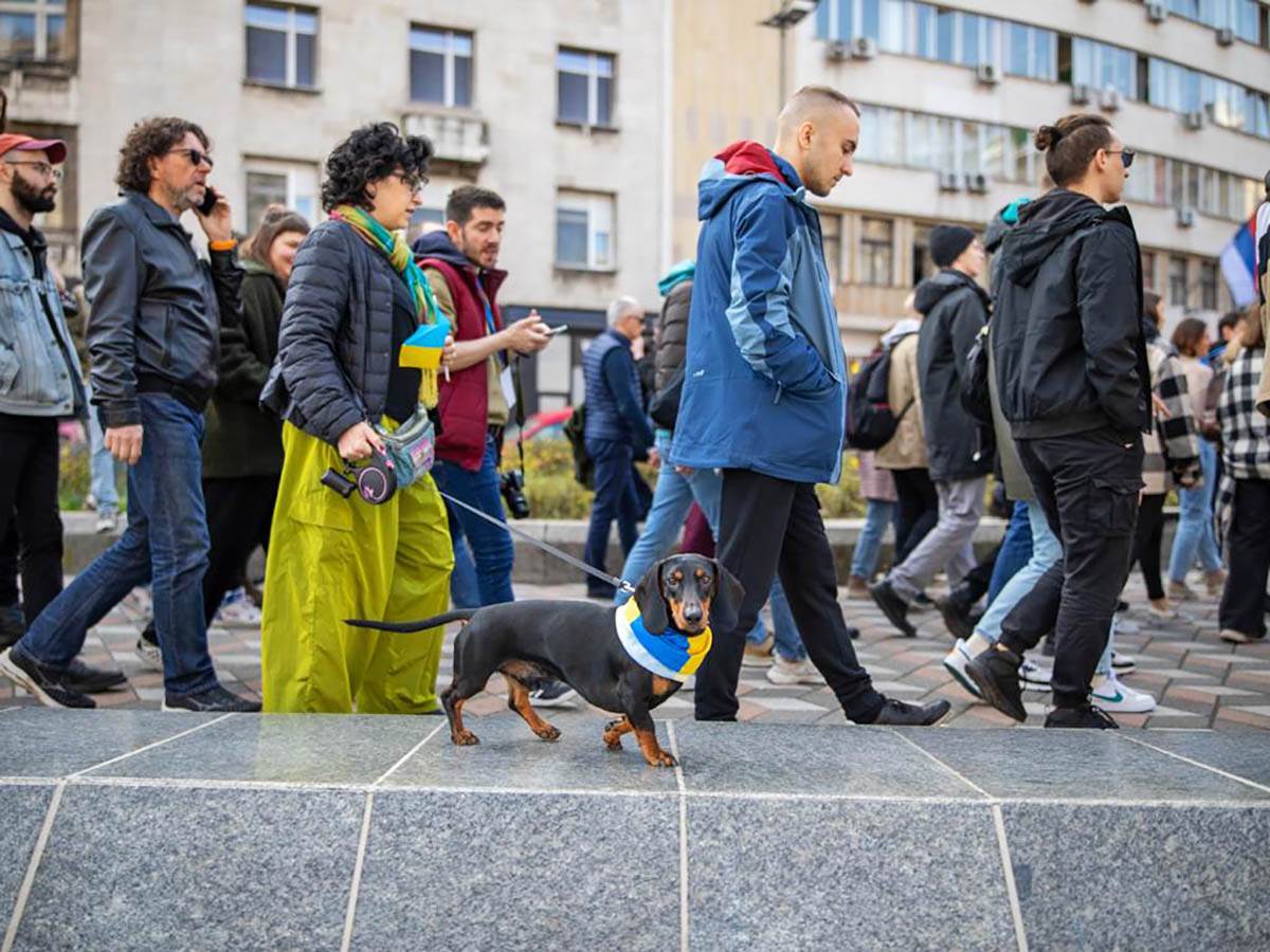 Protest podrške Ukrajini Beograd (3).jpeg