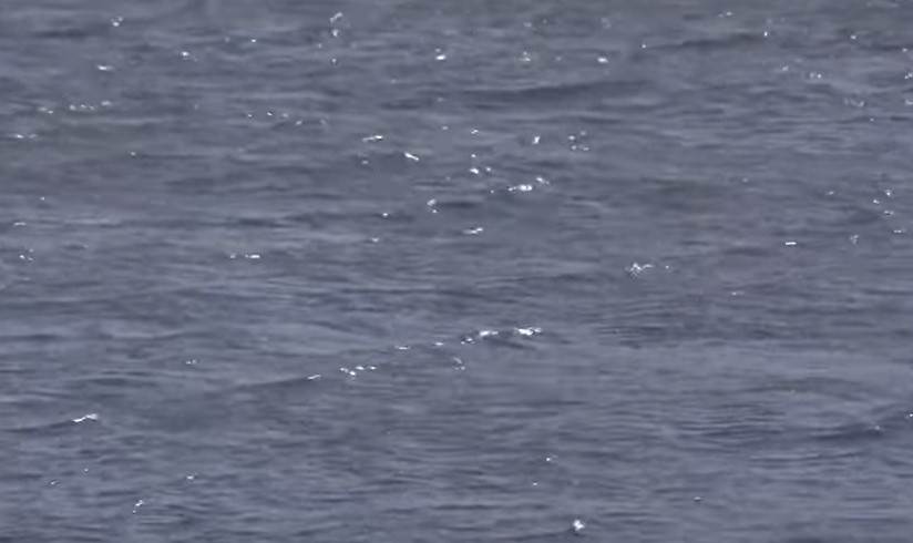 srbi van srbije starosedeoci .jpg