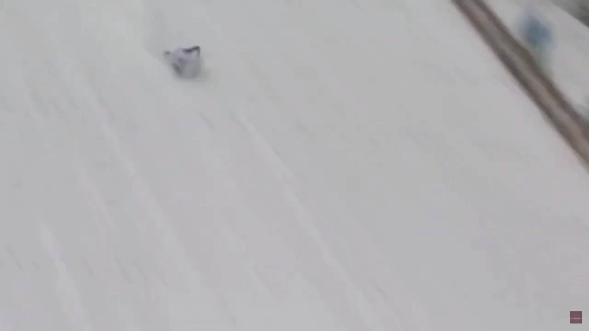 Screenshot from 2023-03-01 18-41-13.png