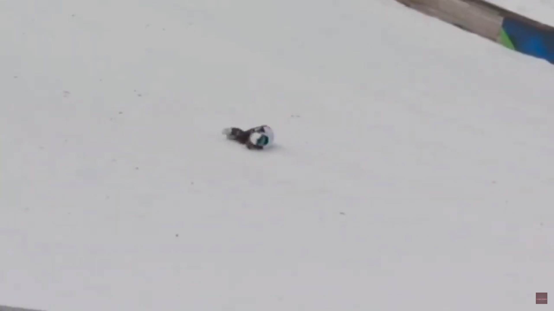 Screenshot from 2023-03-01 18-41-22.png