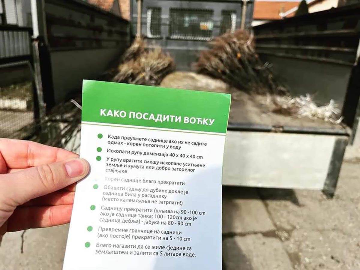 Moj grad Sremska Mitrovica .jpg