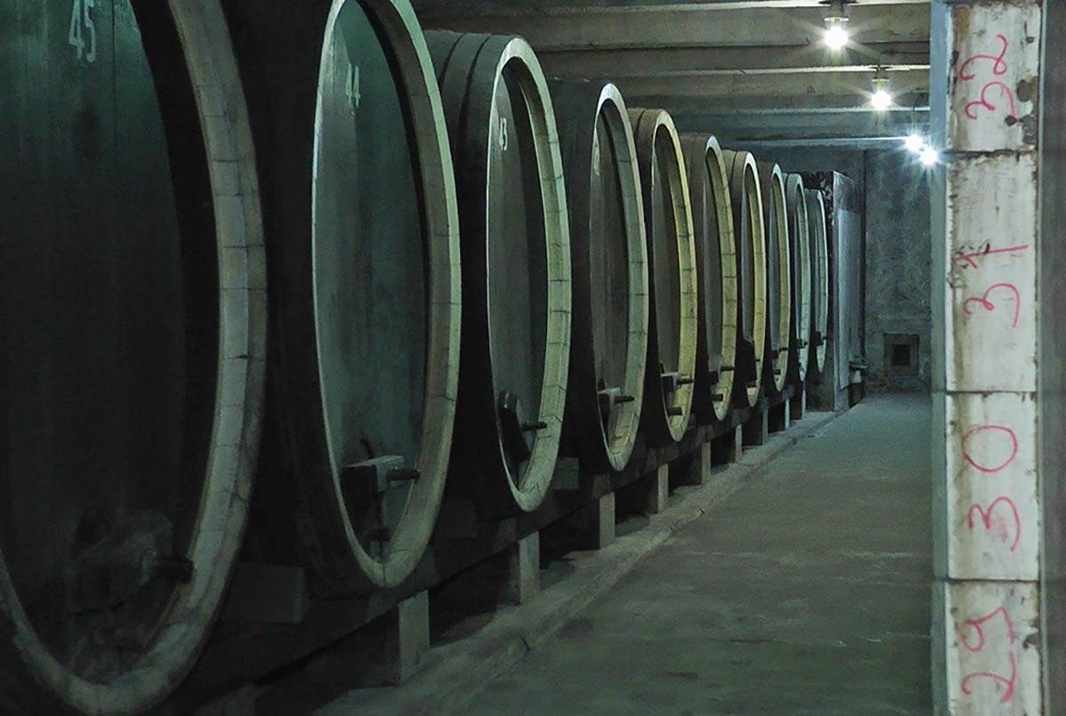 Vino vinski podrum (1).jpg