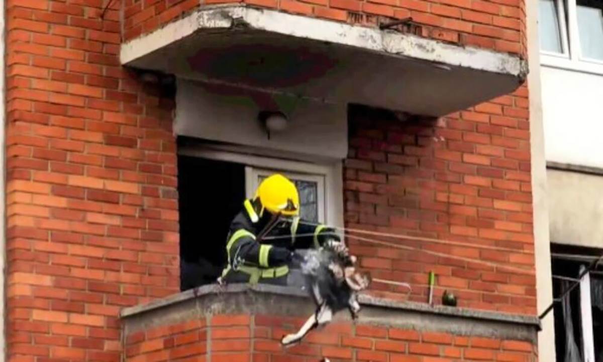 Ispovest dede poginule dece u požaru u Novom Pazaru