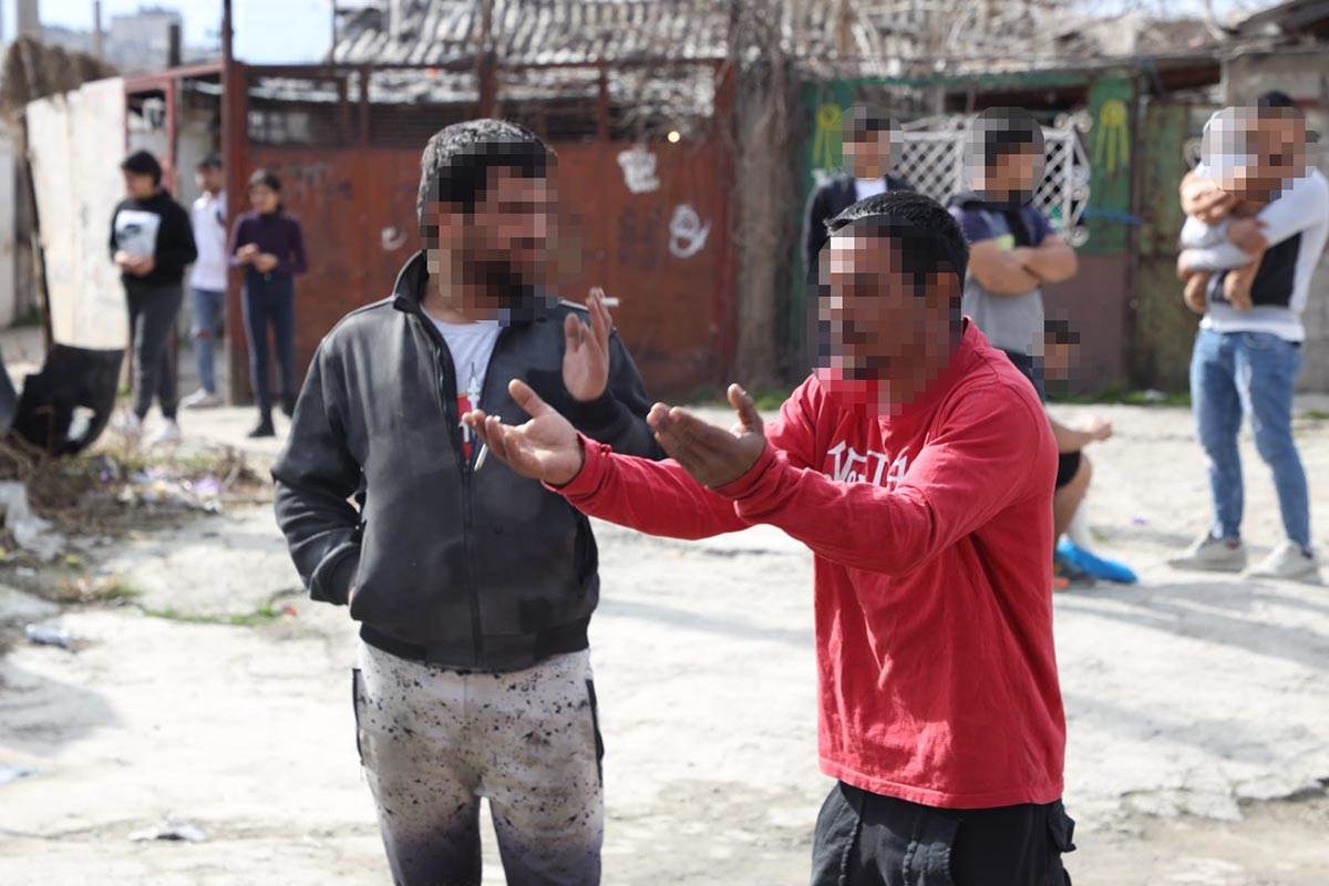 WhatsApp Image 2023-03-08 at 13.20.23.jpg