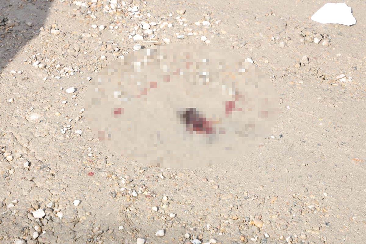 WhatsApp Image 2023-03-08 at 13.20.25.jpg