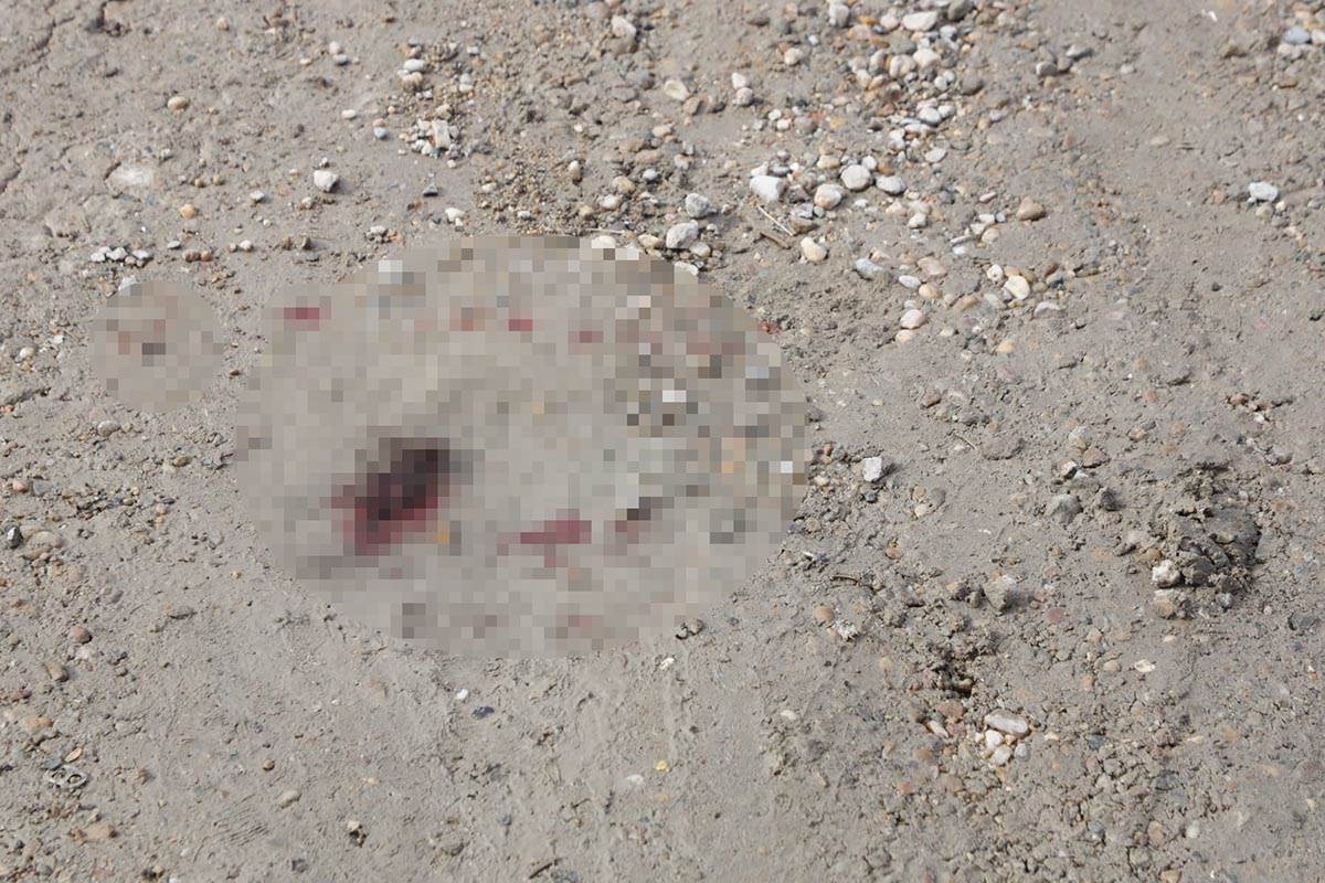 WhatsApp Image 2023-03-08 at 13.20.26.jpg