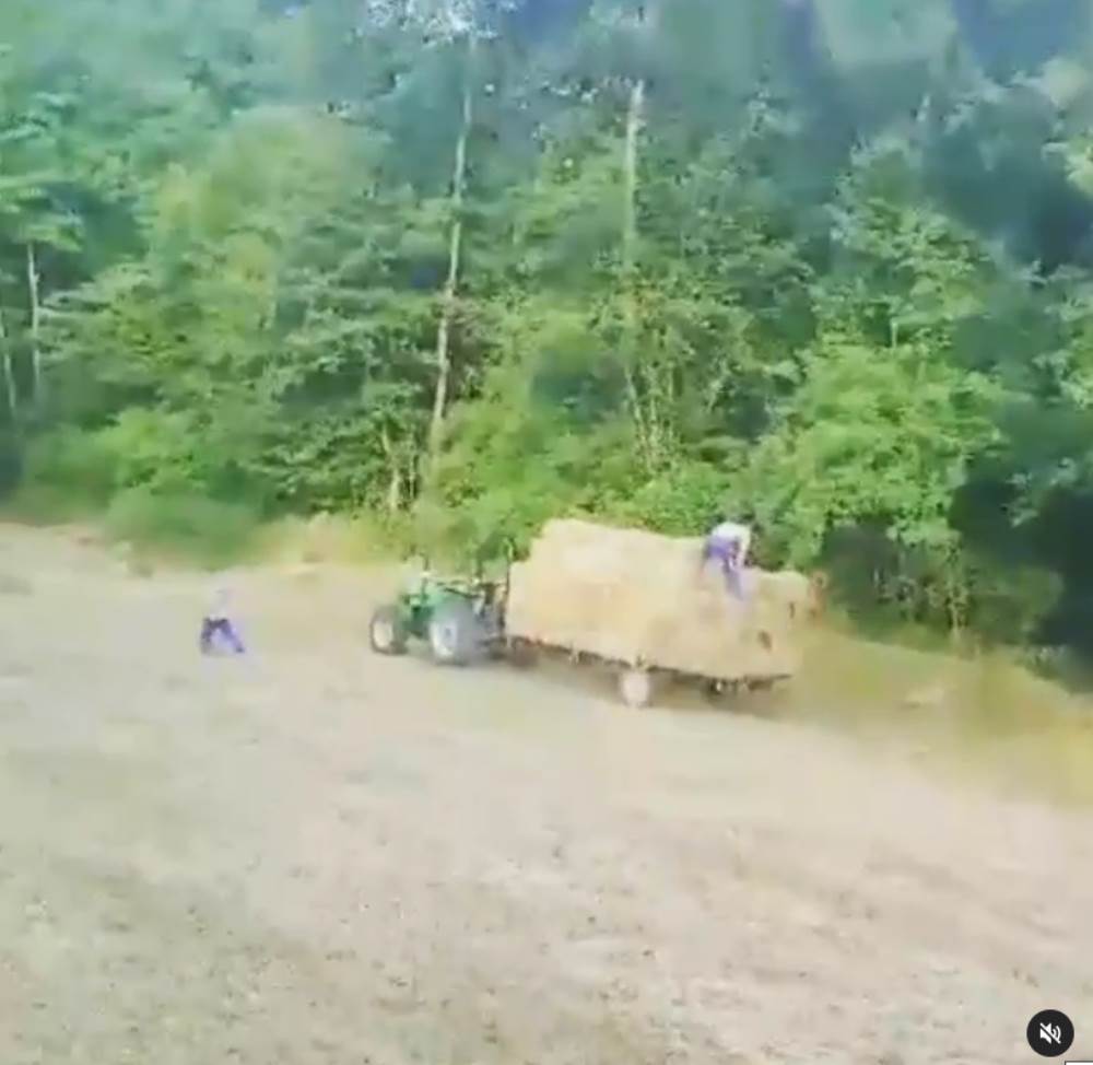 Branko Janković.jpg