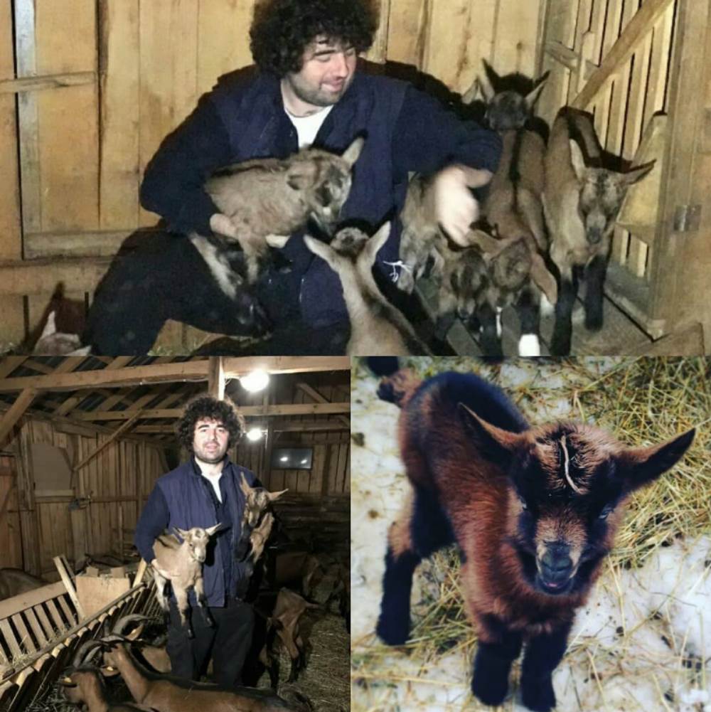 Branko Janković2.png