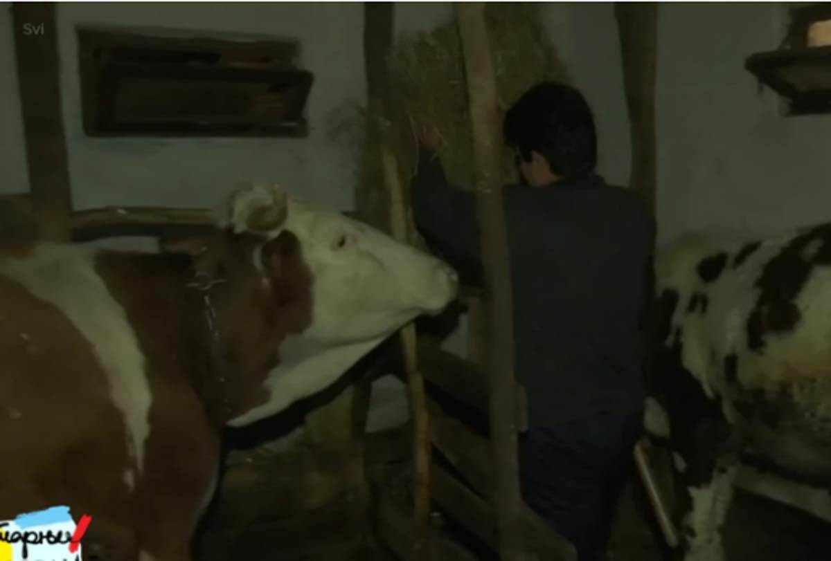 Marija iz Bogutovca ima šestoro dece