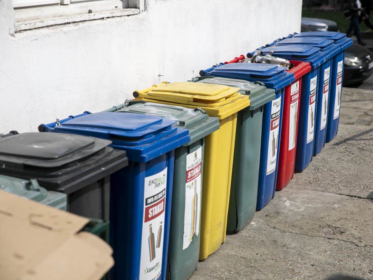 živimo_zajedno_centar_stefan_stojanović_ (14).jpg