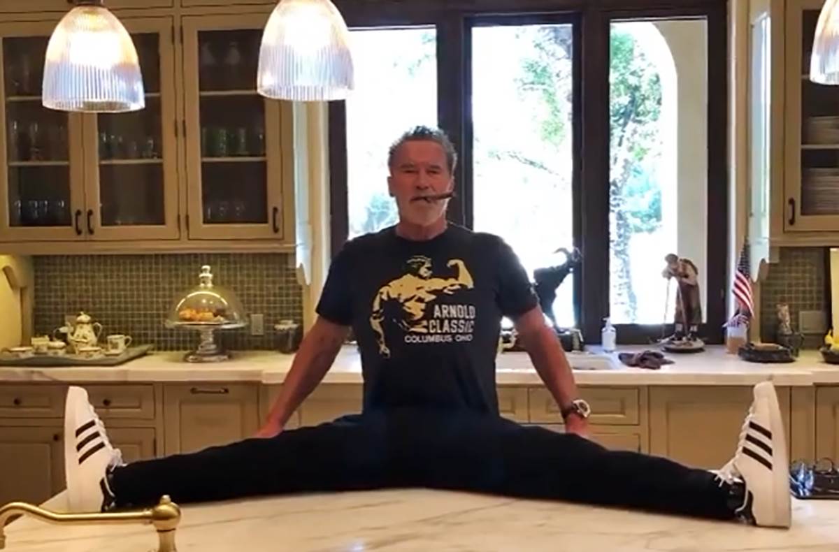 Švarceneger (2).png