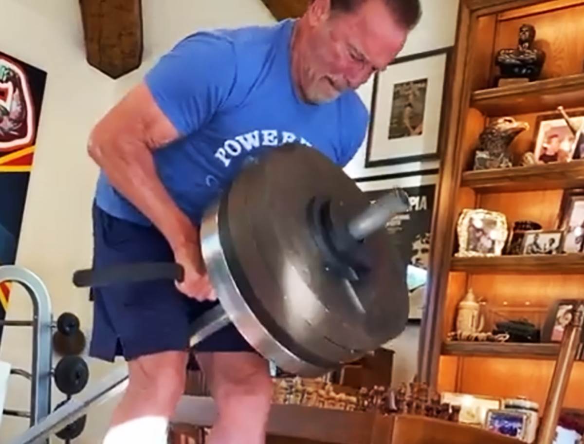 Švarceneger (3).png