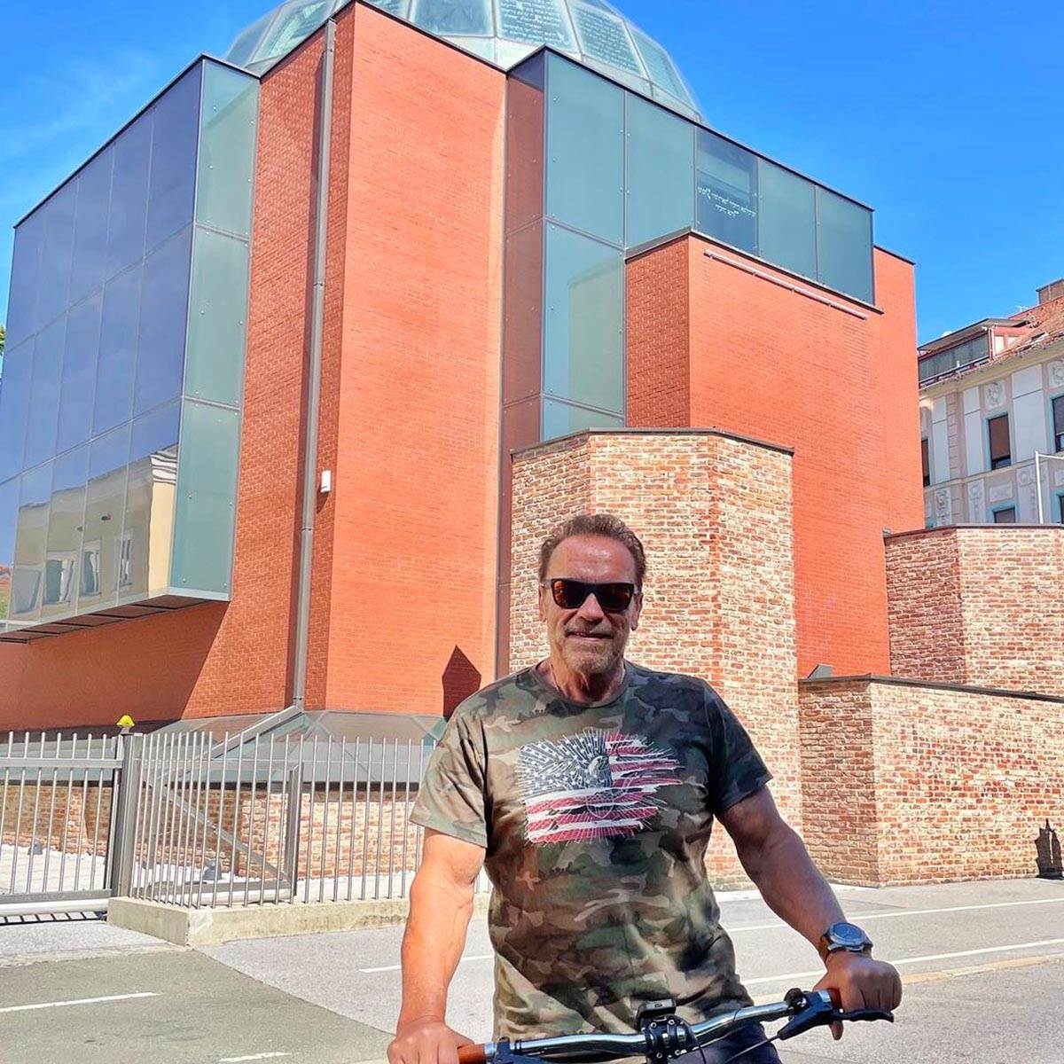 Švarceneger (4).jpg