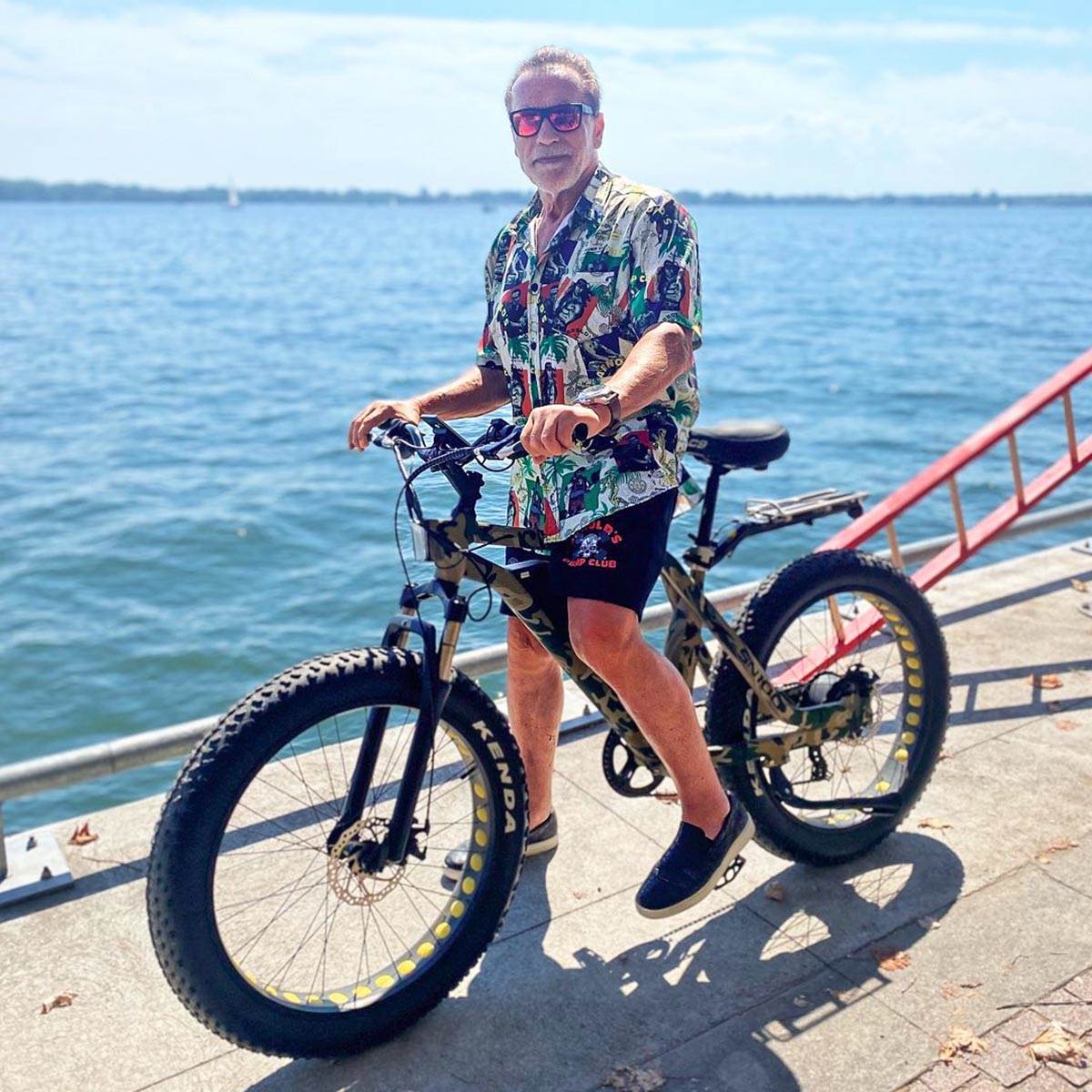 Švarceneger (7).jpg