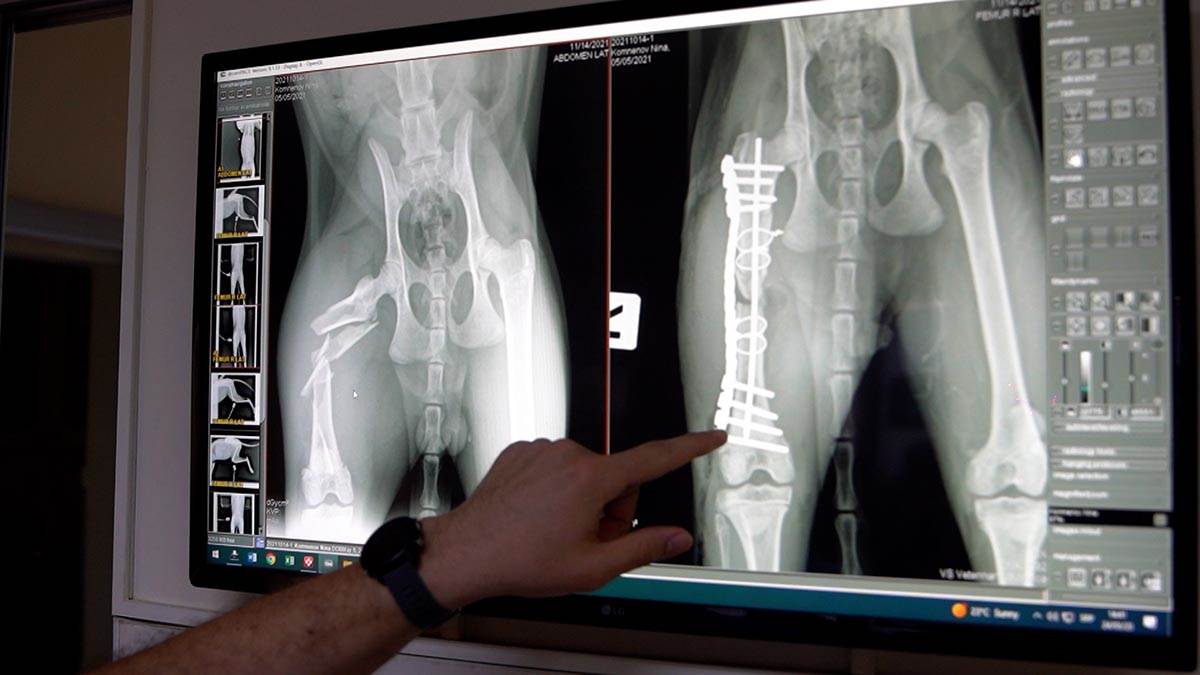 Subotica živi 4.jpg