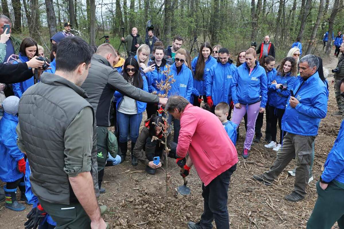 Zasadi drvo (11).jpg