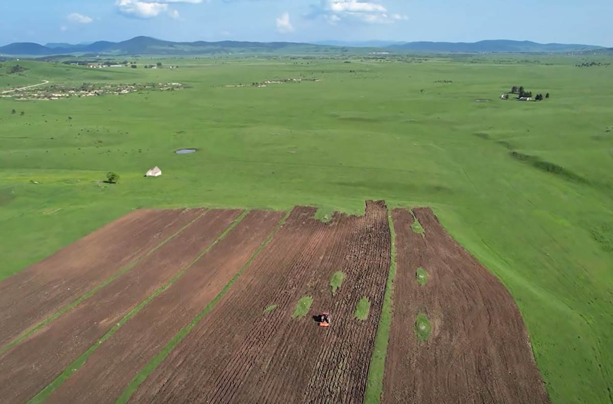 Najplaćeniji pastir (5).png