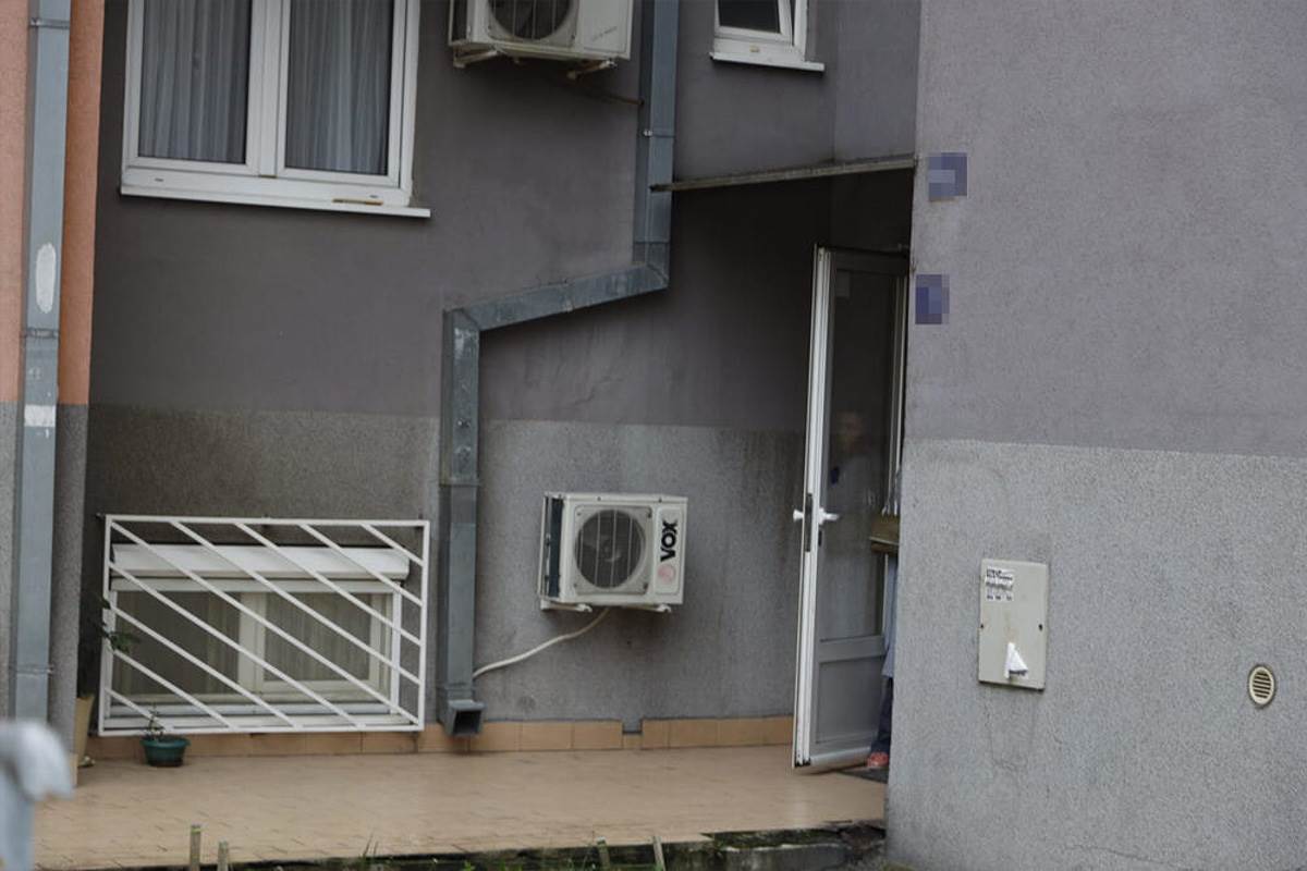 MONSTRUM IZ MIRIJEVA--4.jpg