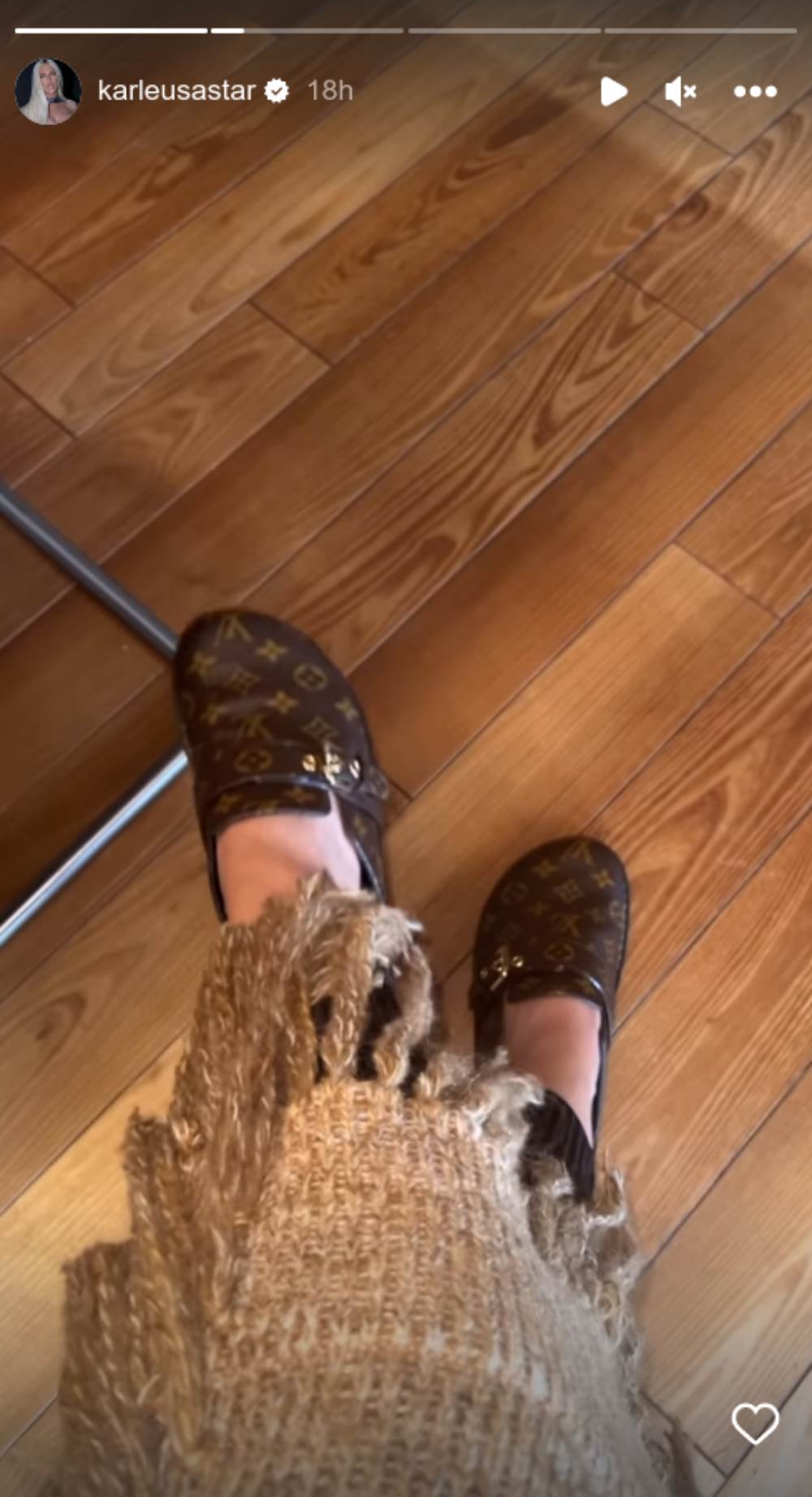 jelena karleuša papuče1.png