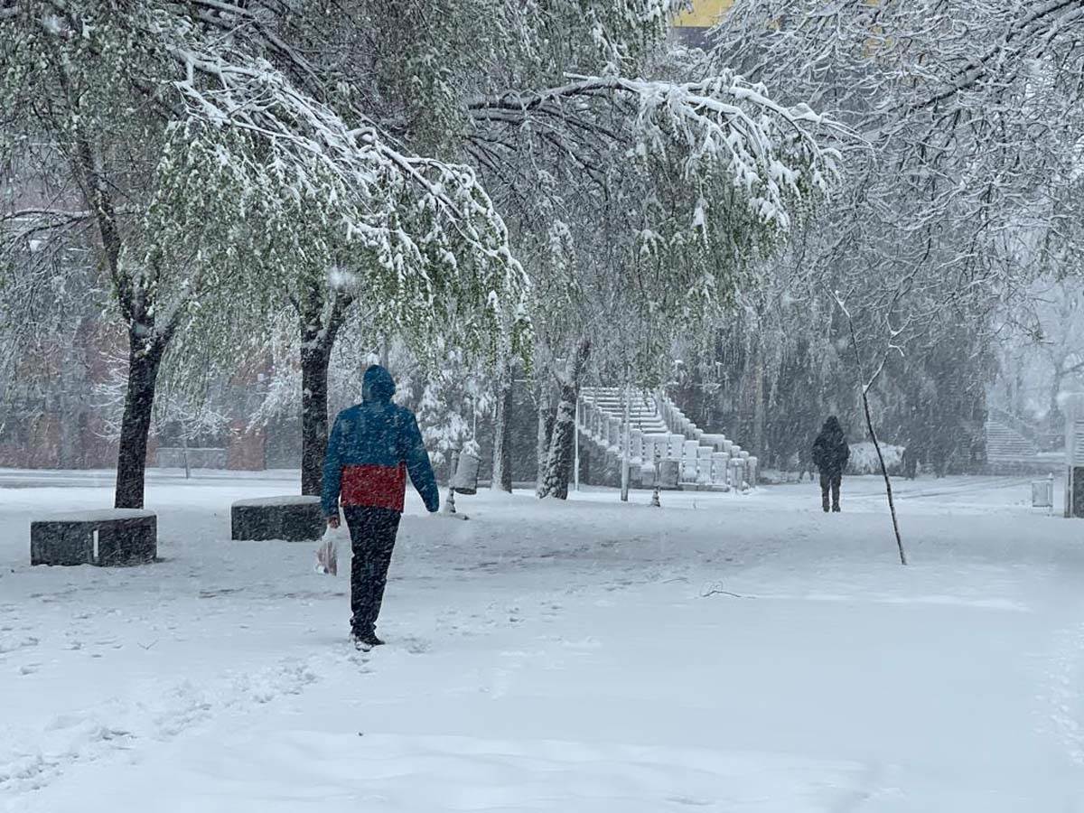 Sneg u Beogradu