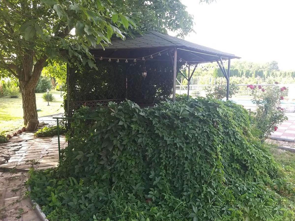 Kuca na fruskoj gori  (8).jpg