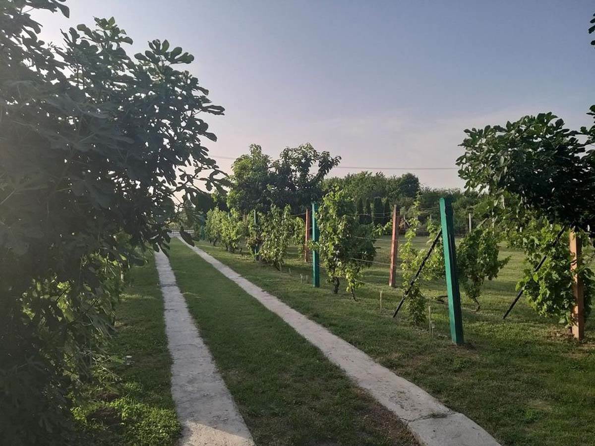 Kuca na fruskoj gori  (9).jpg