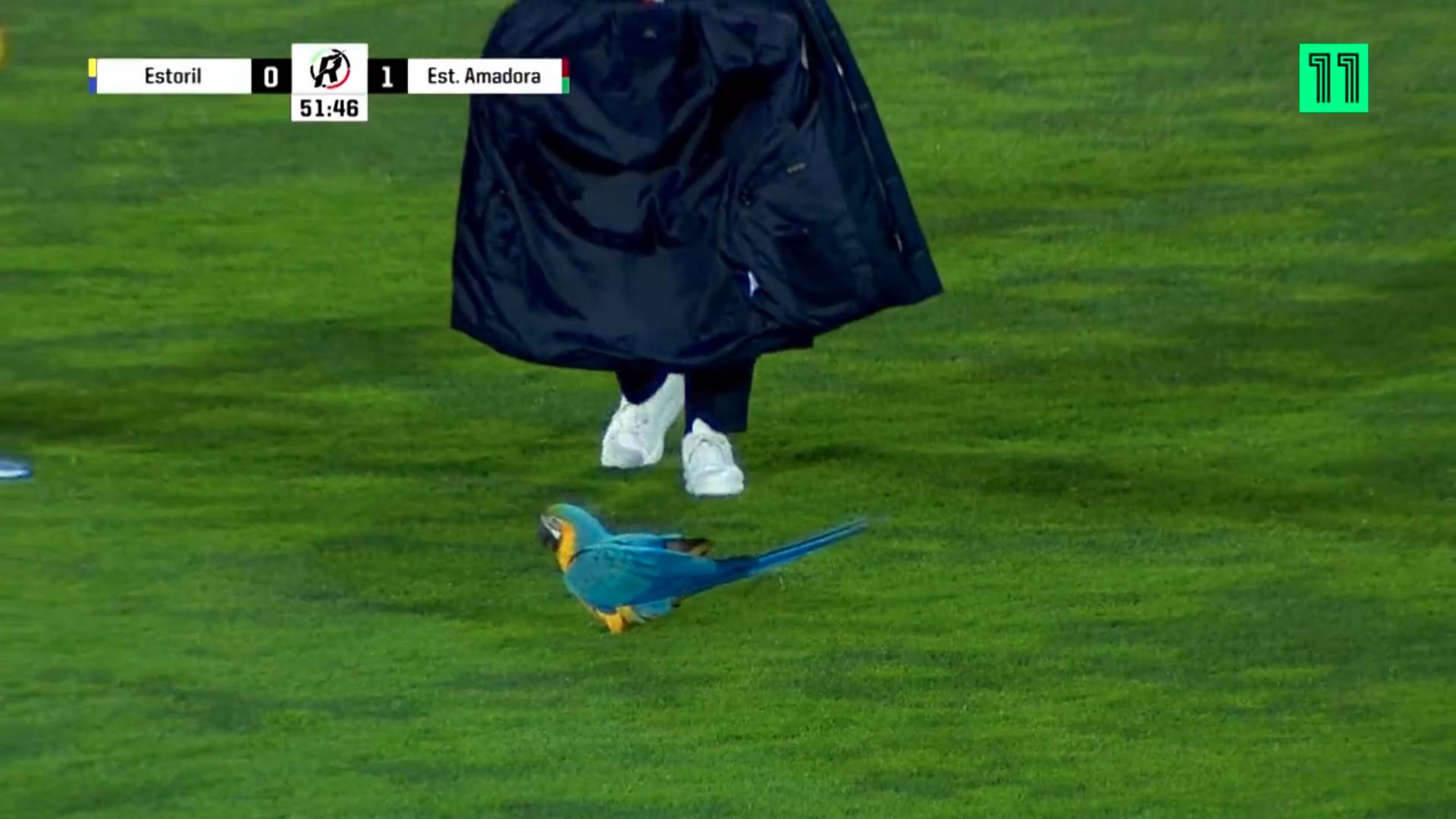 Screenshot from 2023-04-05 13-38-00.png