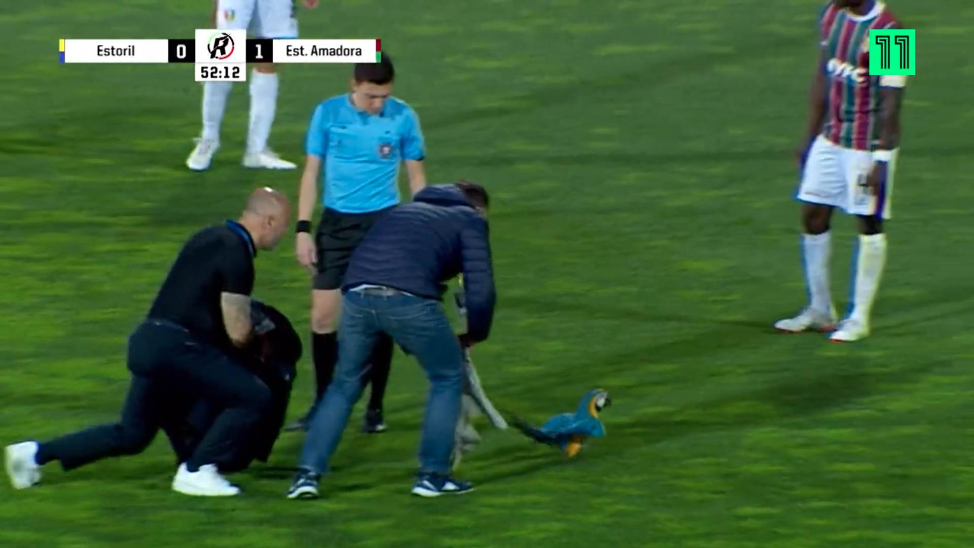 Screenshot from 2023-04-05 13-38-18.png