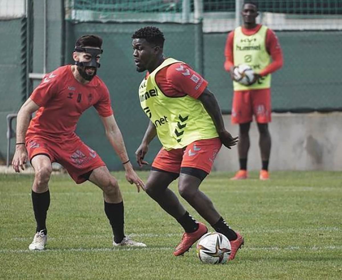 Rojston Riki (1).png