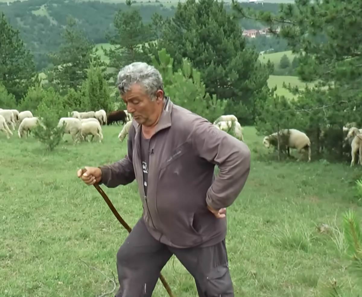 Čobanin Zlatibor (5).png