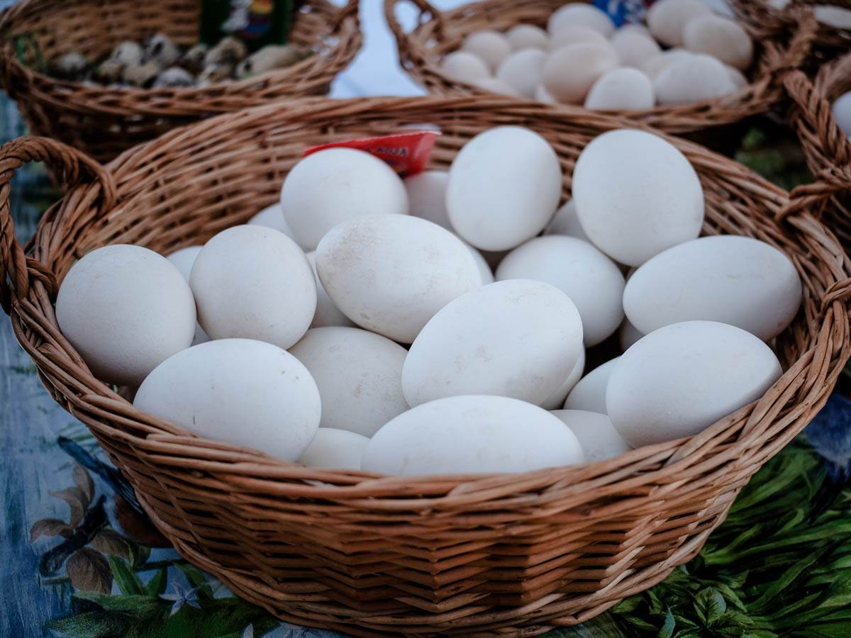 uskrs_jaja_pijaca_stefan_stojanović_25.jpg