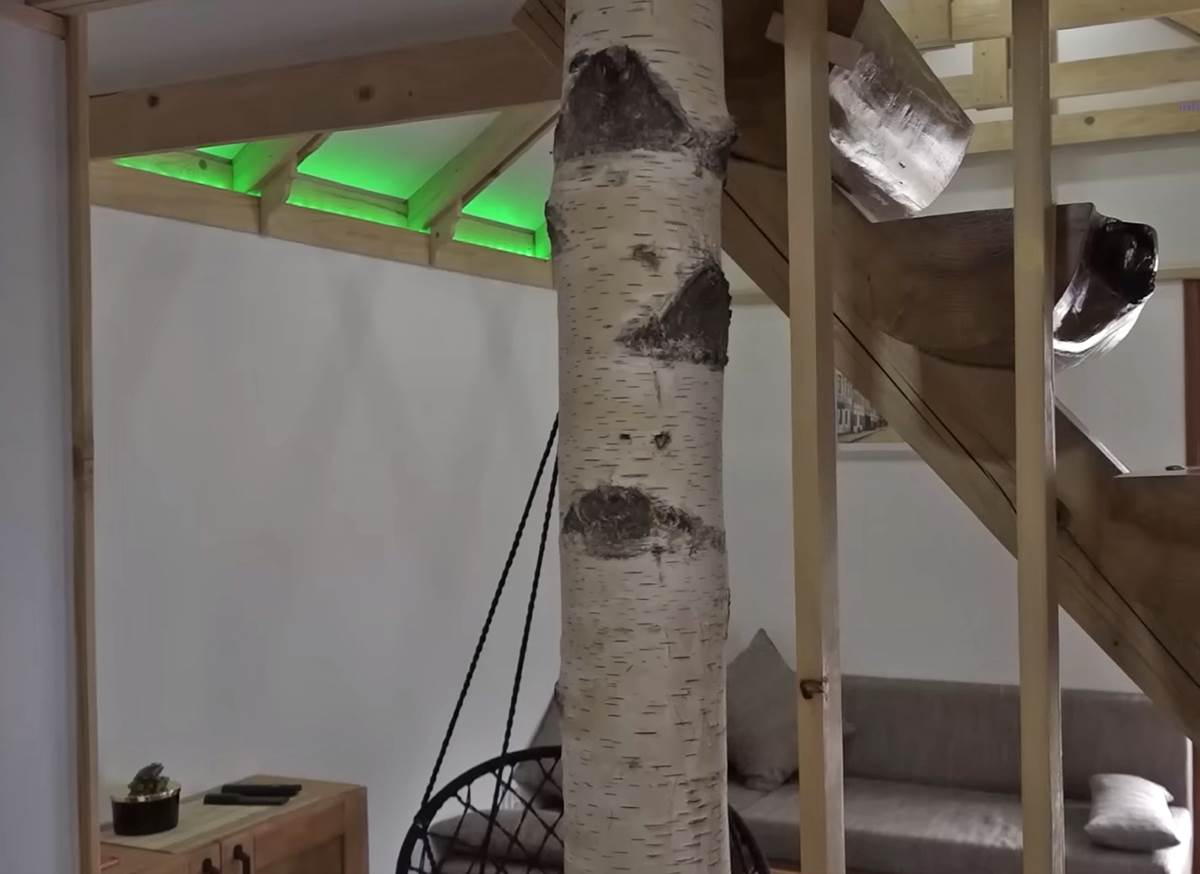 Darko Ivanjica (6).png