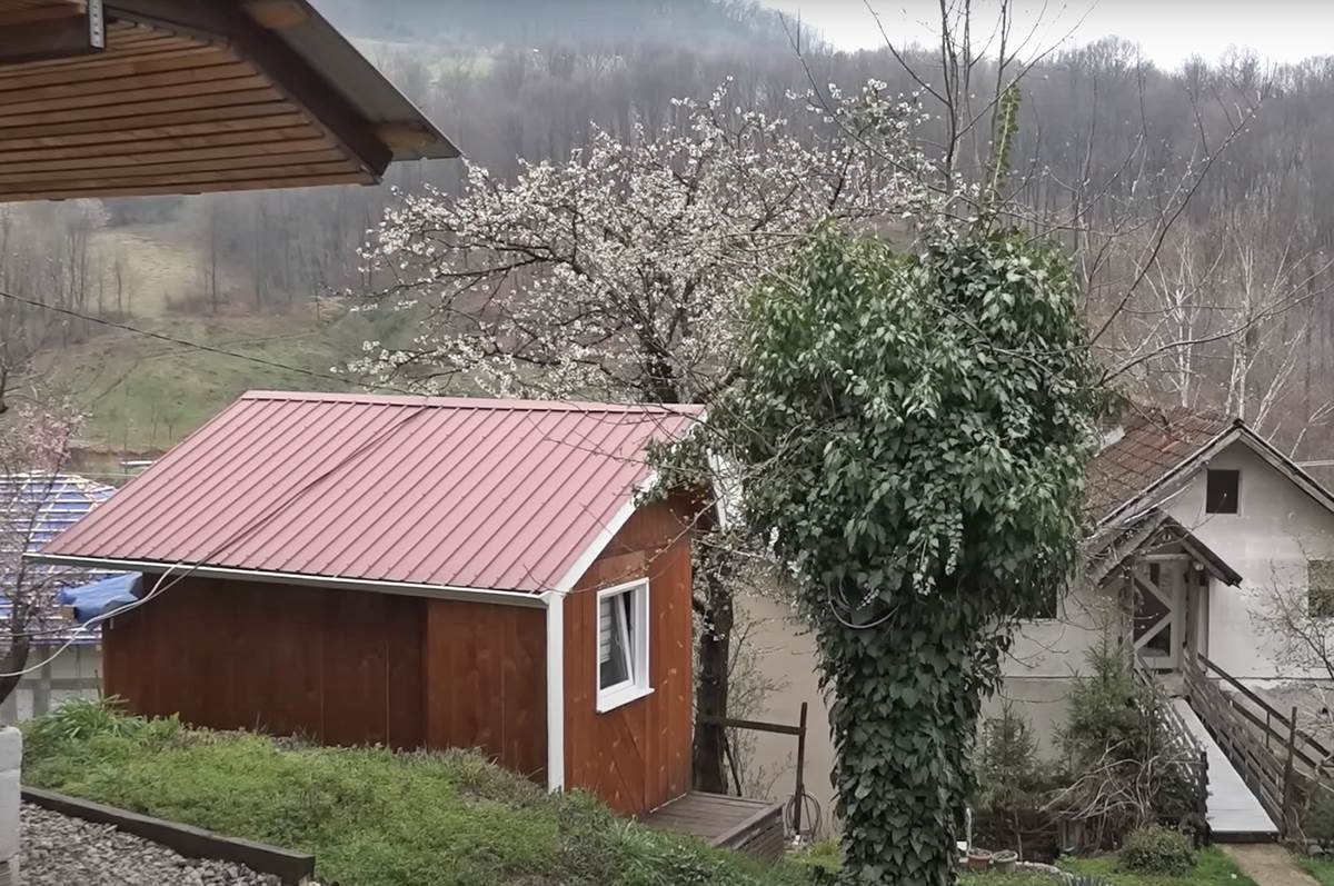 Darko Ivanjica (7).png