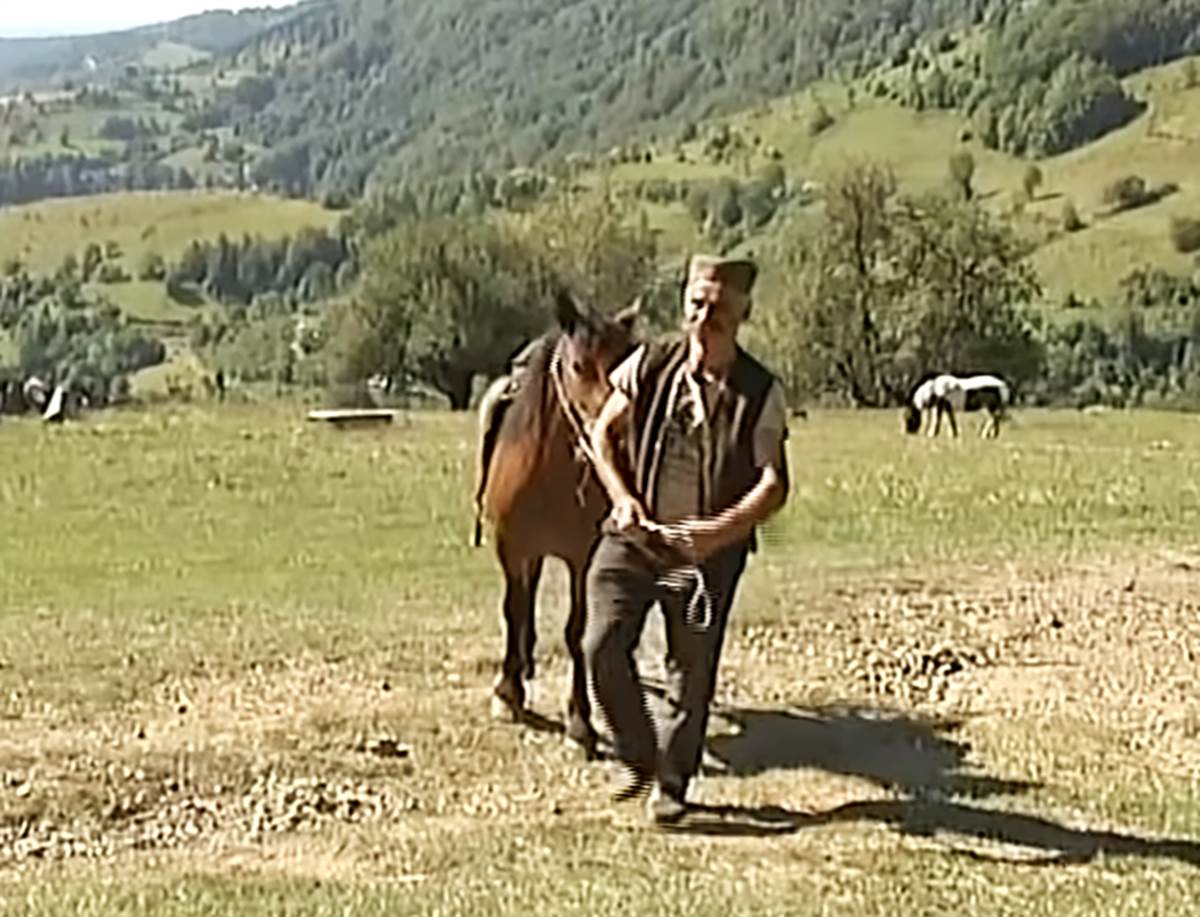 Vid Luković sa porodicom živi na Goliji