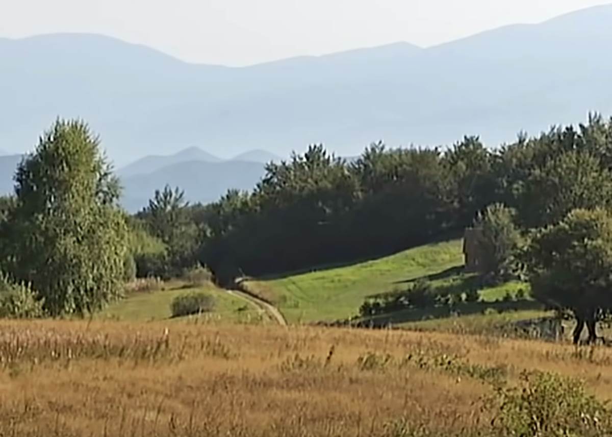 Vid Luković sa porodicom živi na Goliji