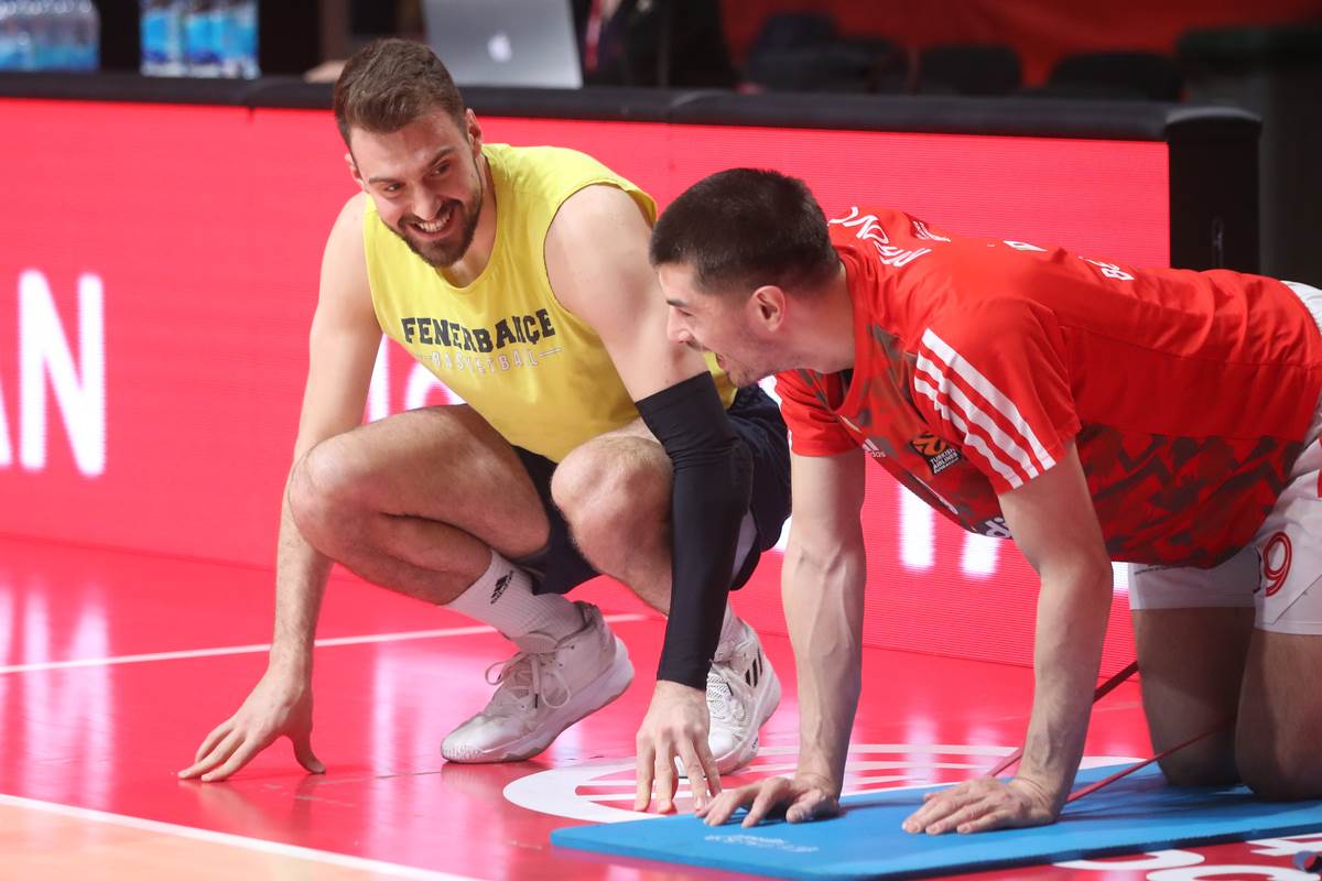 Marko Gudurić, Luka Mitrović