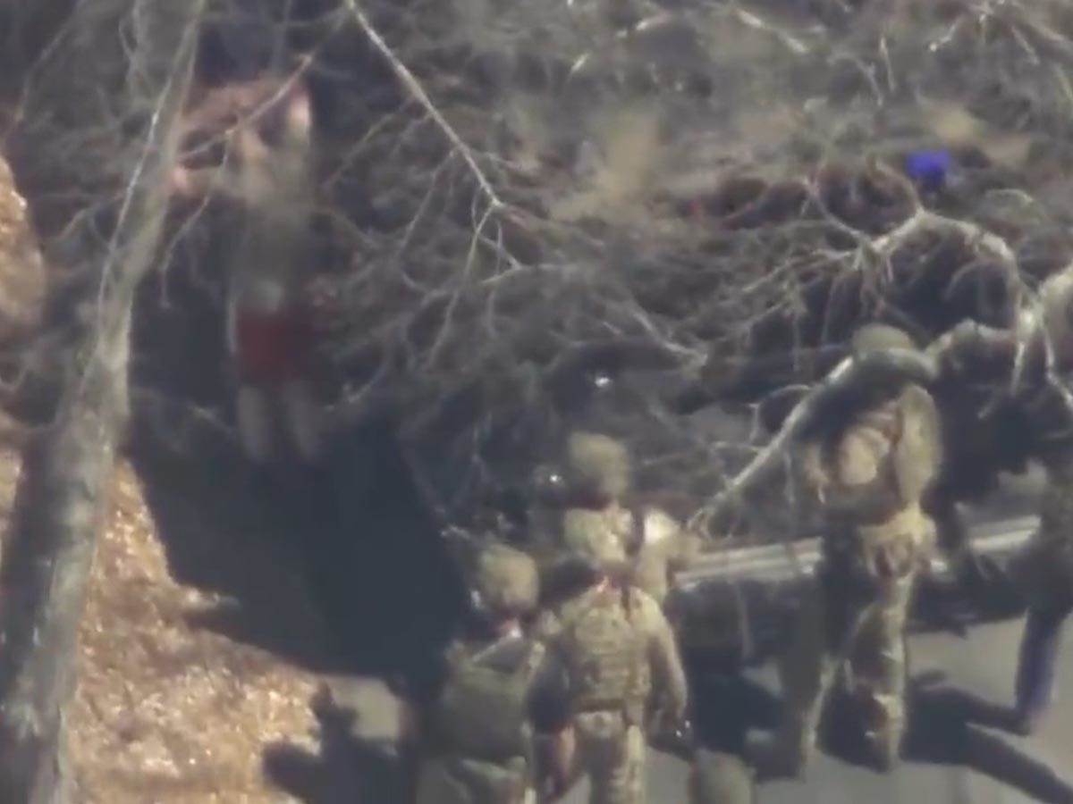 Džek Tajšer hapšenje (3).jpg