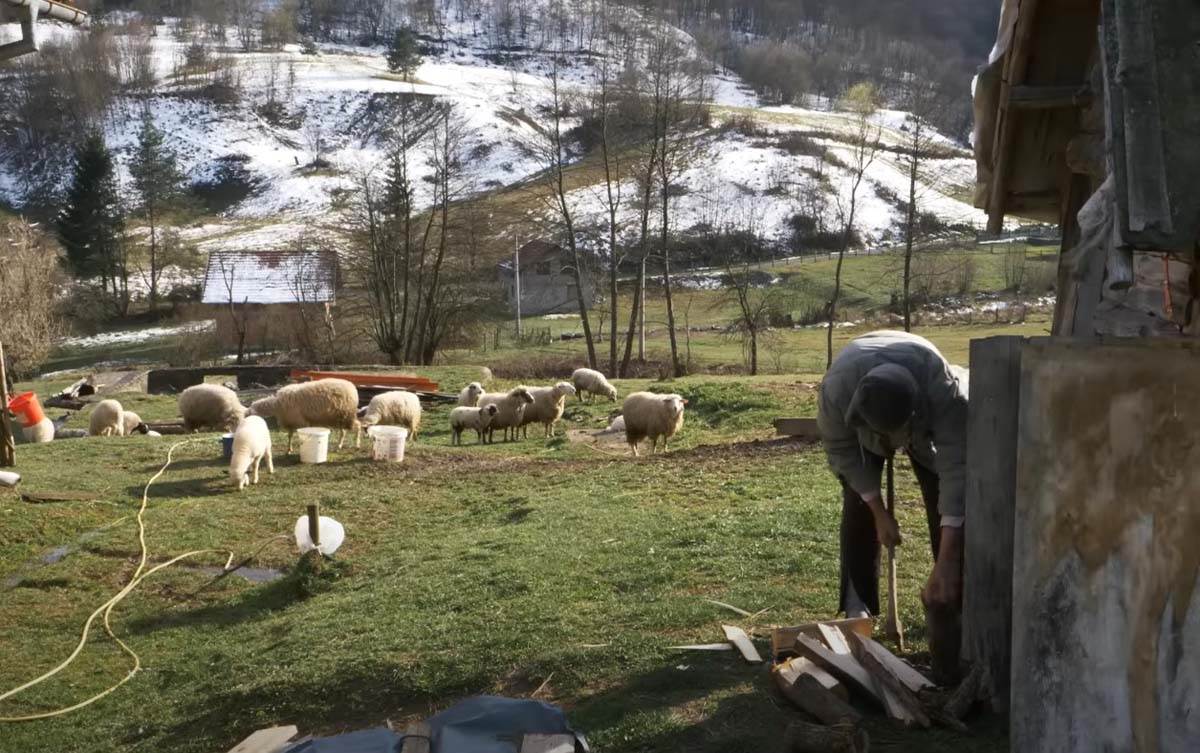 Miladin ostao bez penzije jer mu firma nije uplaćivala staž