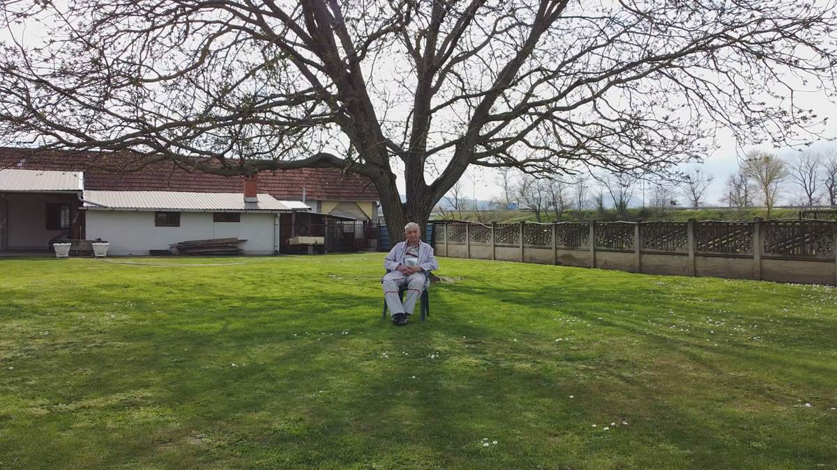 Najveći orah na Balkanu (5).jpg