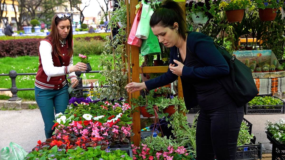 Subotica živi 4.jpg