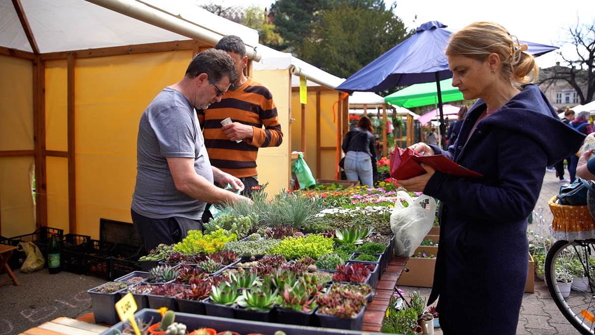 Subotica živi 5.jpg