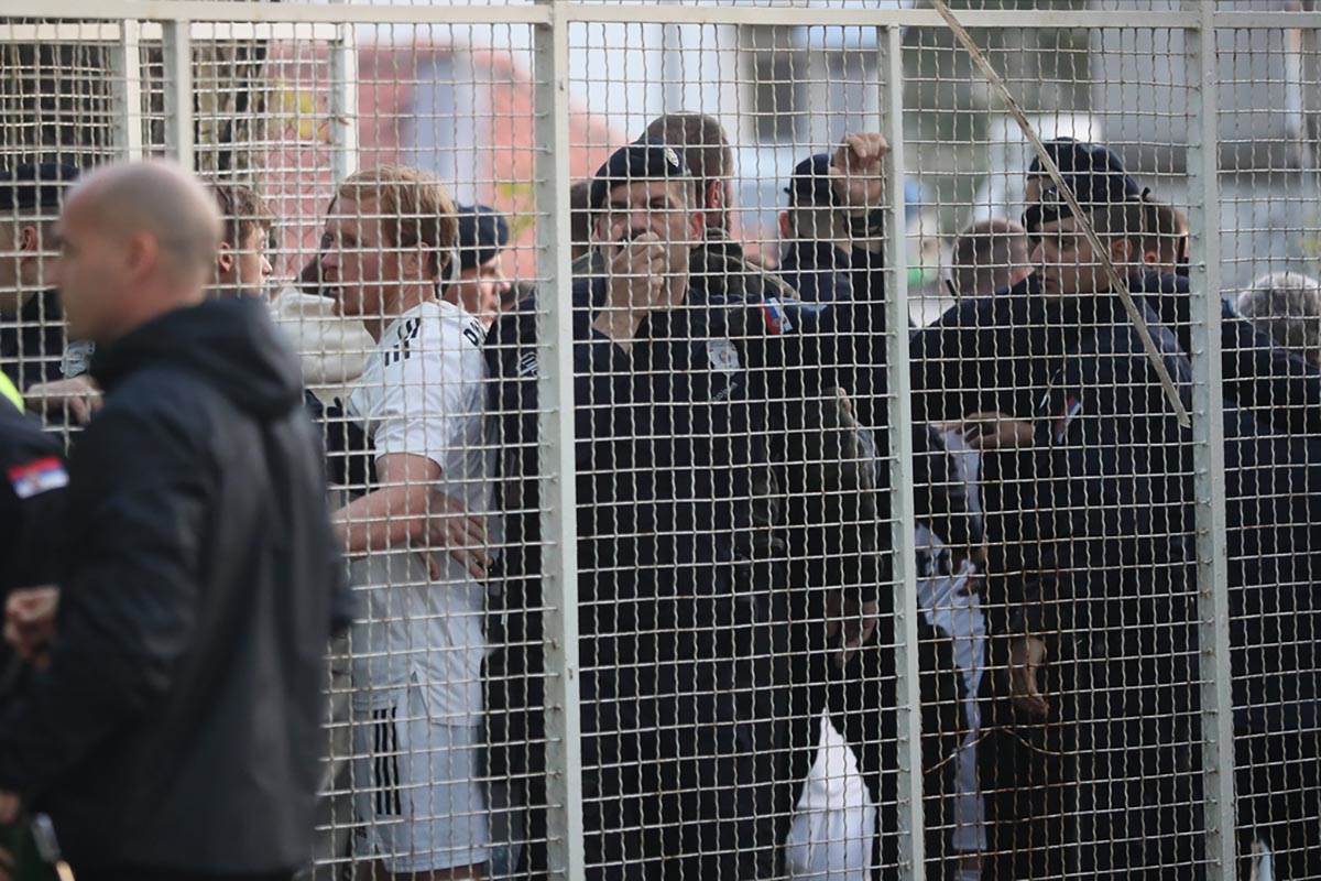 Čukarički Partizan (3).jpg