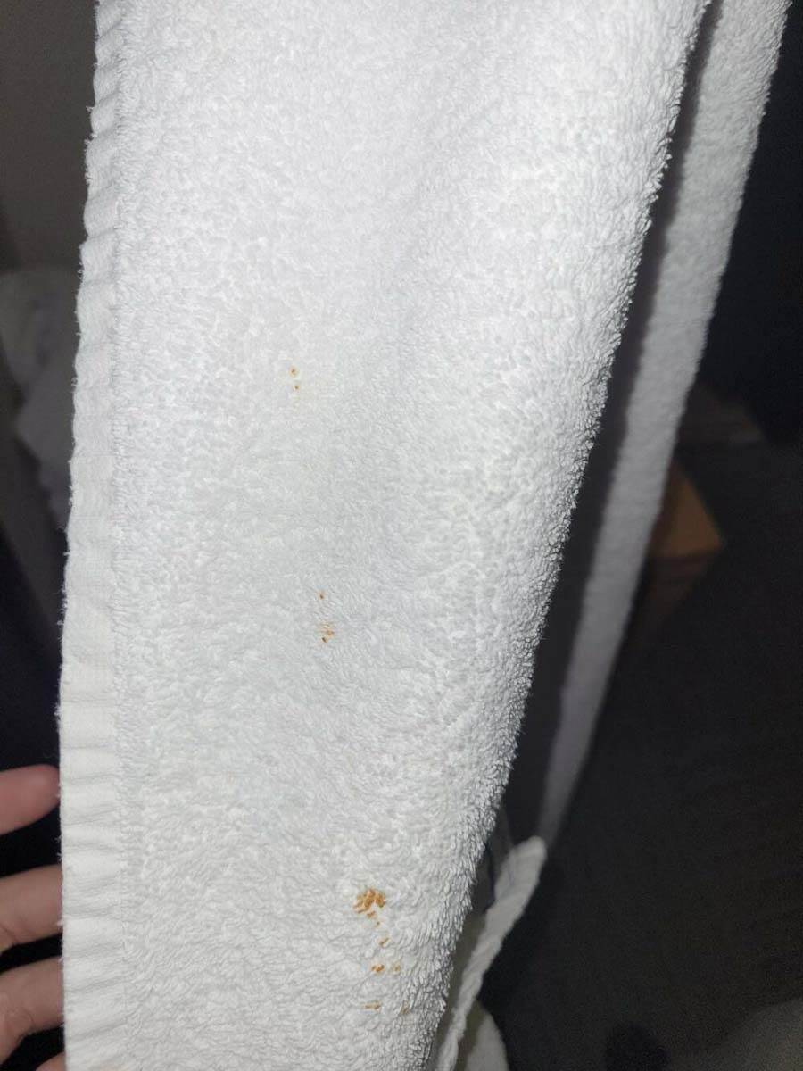 Tara, ekskurzija (2).jpg